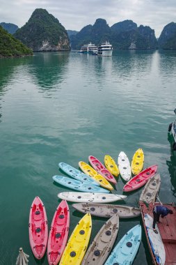 Halong Körfezi, Vietnam - 30 Ocak 2024: Ha Long Körfezi, Güney Çin Denizi 'nde kayak ve yolcu gemileri