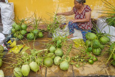 Hoi An, Vietnam - 5 Şubat 2024: Vietnamlı kadın Cho Hoi 'de hindistan cevizi satıyor.