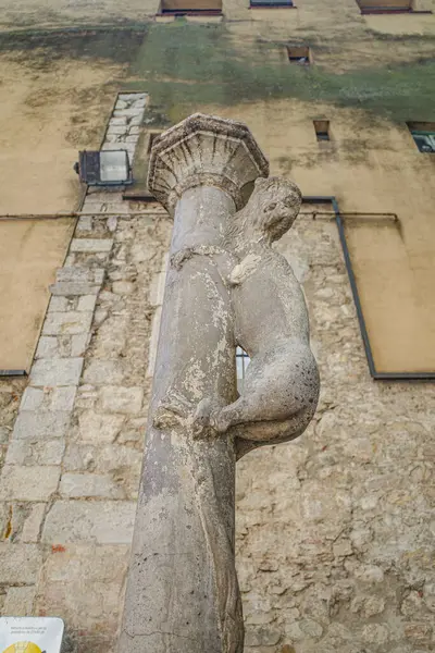 stock image Girona, Spain - 23 July, 2024: 'La Leona', The Lioness Bottom Statue, a symbol of the city of Girona, Catalonia