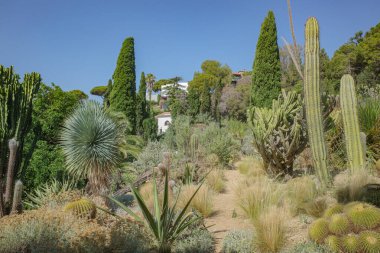 Blanes, İspanya - 10 Ağustos 2024: Blanes, Costa Brava, Katalonya 'daki Marimurtra Botanik Bahçeleri