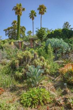 Blanes, İspanya - 10 Ağustos 2024: Blanes, Costa Brava, Katalonya 'daki Marimurtra Botanik Bahçeleri