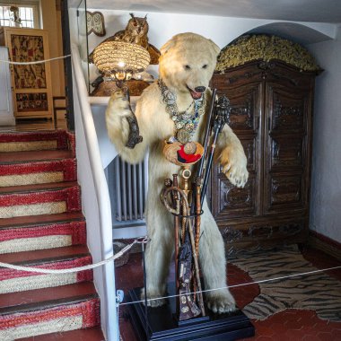 Port Lligat, İspanya - 7 Eylül 2024: Sürrealist sanatçı Salvador Dali 'nin evinde doldurulmuş kutup ayısı sergileniyor