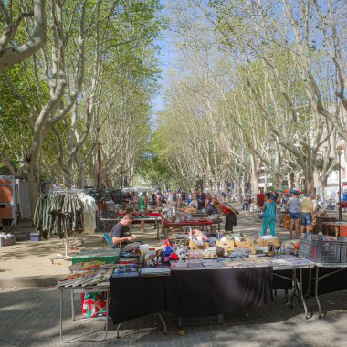Perpignan, Fransa - 24 Ağustos 2024: Perpigan, Pyrenees Orientales parkında bit pazarı