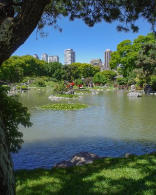 Buenos Aires, Arjantin - 20 Kasım 2024: Palermo, Buenos Aires 'teki Jardin Japonya bahçelerinde bahar mevsimi