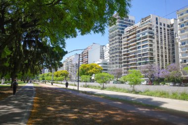 Buenos Aires, Arjantin - 20 Kasım 2024: Sicilya Plaza ve Libertador boyunca bahar manzarası