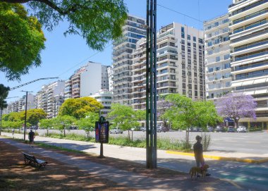 Buenos Aires, Arjantin - 20 Kasım 2024: Sicilya Plaza ve Libertador boyunca bahar manzarası