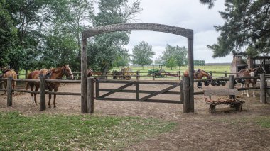 La Pampa, Argentina - 19 Nov, 2024: Estancia La Bamba de Areco, a traditional horse ranch and luxury hotel clipart