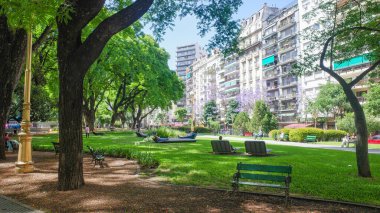 Buenos Aires, Arjantin - 18 Kasım 2024: Recoleta Mahallesi 'nde ilkbaharda çiçek açan jakaranda ağaçları