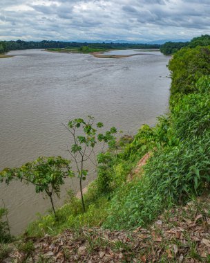 Tambopata, Peru - 25 Kasım 2024: Amazon yağmur ormanları Tambopata Nehri boyunca uzanır.
