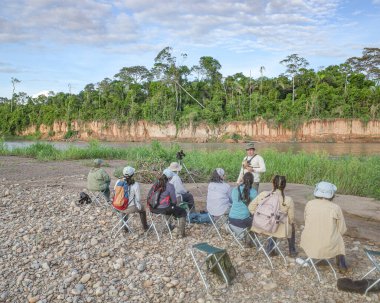 Tambopata, Peru - 27 Nov, 2024: Wildlife observation at a Macaw clay lick feeding ground in the Amazon rainforest clipart