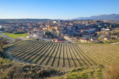Elciego, İspanya - 28 Aralık 2024: Elciego ve çevresindeki üzüm bağlarının panoramik manzarası. Alava, Bask Ülkesi