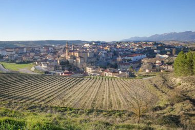 Elciego, İspanya - 28 Aralık 2024: Elciego ve çevresindeki üzüm bağlarının panoramik manzarası. Alava, Bask Ülkesi