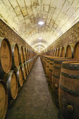Elciego, İspanya - 28 Aralık 2024: Marque de Riscal şaraphanesinin mahzenlerinde şarap fıçıları, Rioja Alvesa, İspanya