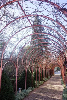 Eltziego, İspanya - 28 Aralık 2024: Marques de Riscal şaraphanesinde üzüm bağları. La Rioja Alavesa, İspanya