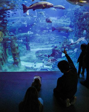 San Sebastian, İspanya - 26 Ocak 2025: Ziyaretçiler San Sebastian Akvaryumu 'ndaki bir akvaryumda balık izliyorlar.