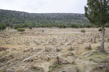 Burgos, İspanya - 3 Mart 2025: Sad Hill Mezarlığı, batı filmi 