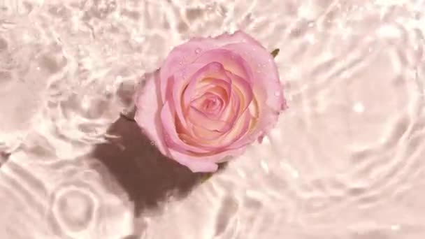 水の波に花が落ちる スパトリートメント 美容ルーチン — ストック動画