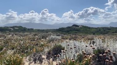 Sardunya 'nın kuzeyinde güzel, doğal ve vahşi bir sahil. 