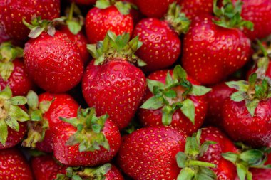 Olgun çileklerin kırmızı arkaplanı. Kapat, üst görünüm.