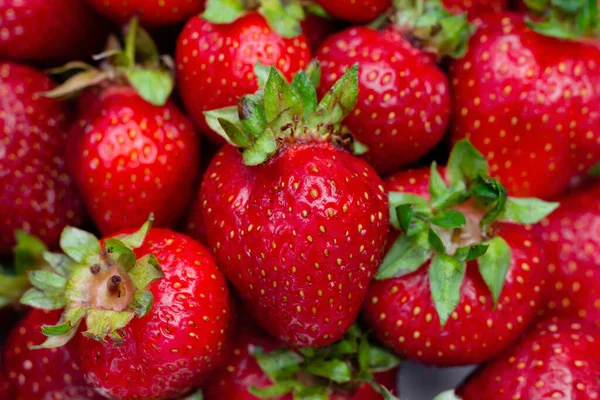 stock image Red background of ripe strawberries. Close up, top view.