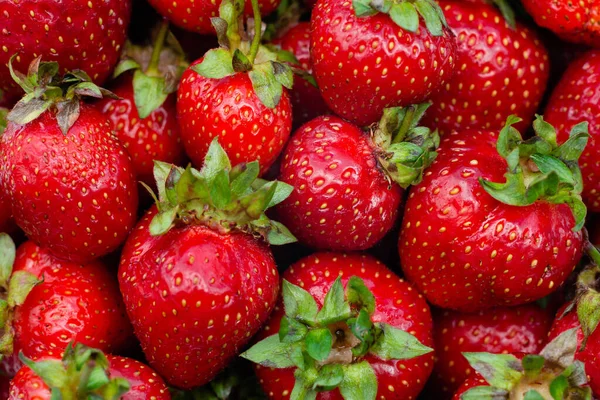 stock image Red background of ripe strawberries. Close up, top view.