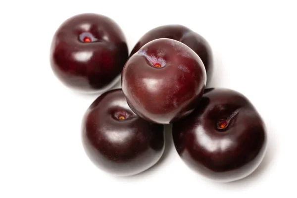 stock image several fresh ripe plum on a white background