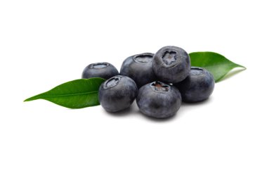 beyaz zemin üzerine yeşil yaprakları ile yaban mersini