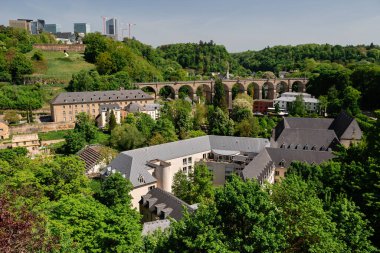 Lüksemburg 'da doğa ve taş demiryolu köprüsü olan güzel bir manzara.