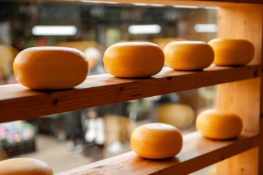 Geleneksel Gouda peynir tekerlekleri, sarı kabuklu, bir peynir dükkanının içindeki ahşap raflarda sergileniyor.