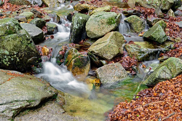 Silky water river with stone, moss and leaf
