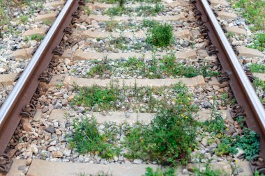 Detail of some train tracks with some herbs