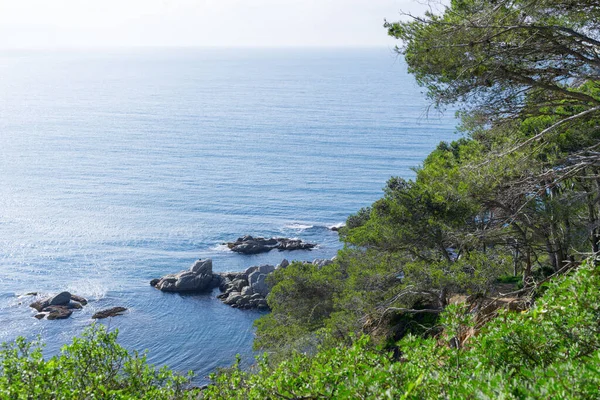 Landscapes Details Coast Brave Costa Brava Girona Spain — Stock Photo, Image