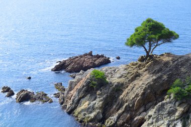 Girona 'daki (İspanya) Sahil Cesareti (Costa Brava) manzaraları ve ayrıntıları)