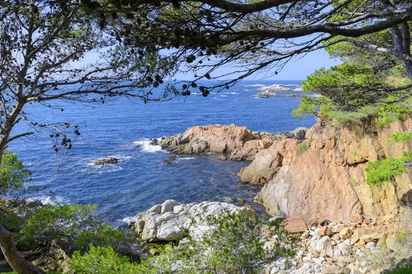 Landskap Och Detaljer Coast Brave Costa Brava Girona Spanien — Stockfoto
