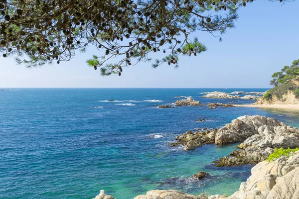 ジローナ スペイン のCoast Brave Costa Brava の風景と詳細 — ストック写真