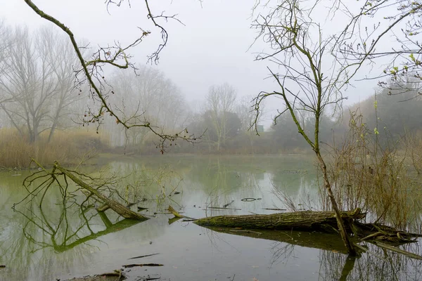 Lago Solitario Una Giornata Nebbiosa — Foto Stock