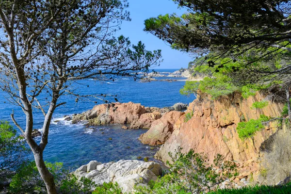 迷人的海岸 科斯塔布拉瓦迷人的景色 西班牙吉罗纳 — 图库照片