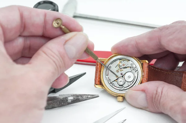 Tijdloze Precisie Een Horlogemaker Artistry Action Rechtenvrije Stockfoto's