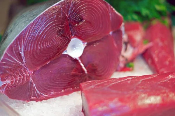 Ocean Finest Przechwytywanie Świeżości Smaku Wykwintnego Tuńczyka Czerwonego Wystawie — Zdjęcie stockowe