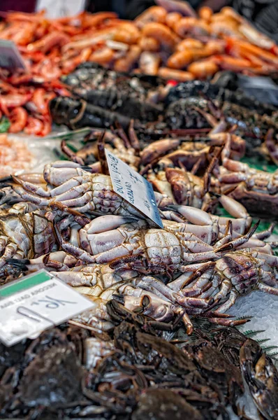 Deniz Ürünleri Harikalar Diyarı Barcelona Daki Boqueria Market Balık Dükkanlarının — Stok fotoğraf