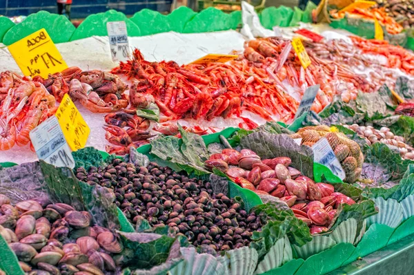 Seafood Wonderland Exploring Bountiful Delights Boqueria Market Fish Stalls Barcelona — Stock Photo, Image