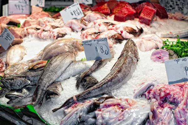Seafood Wonderland Exploring Bountiful Delights Boqueria Market Fish Stalls Barcelona — Stok Foto