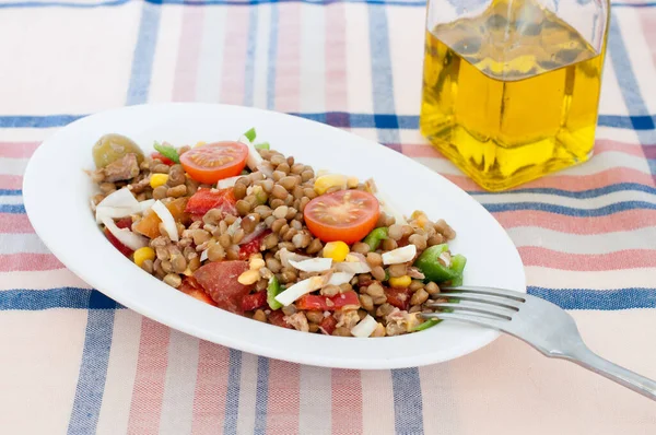 Délice Salade Lentilles Ajout Savoureux Nutritif Une Alimentation Saine Images De Stock Libres De Droits