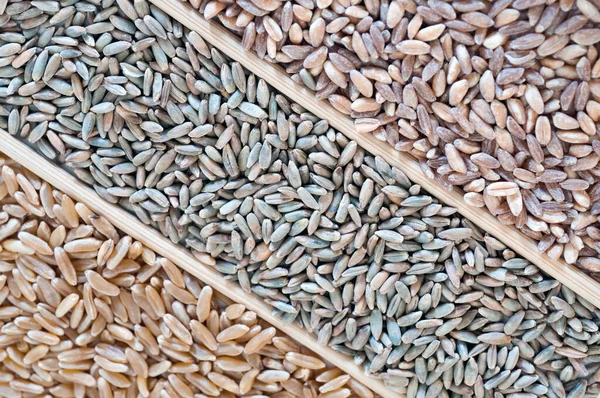 Granos Campo Batalla Devastador Impacto Del Conflicto Producción Mundial Cereales — Foto de Stock