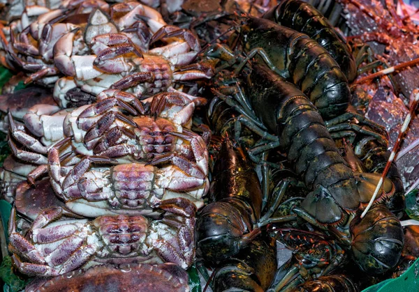 Sea Plate Capturing Best Coastal Seafood Market — Stock Photo, Image