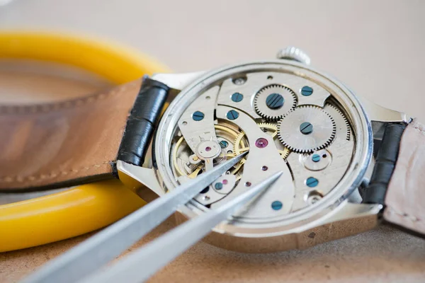 Zeitlose Präzision Uhrmacherkunst Aktion — Stockfoto