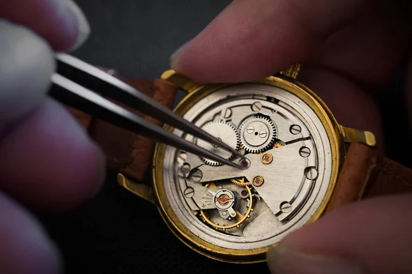 Timeless Precision Watchmaker Artistry Action — Stock Photo, Image