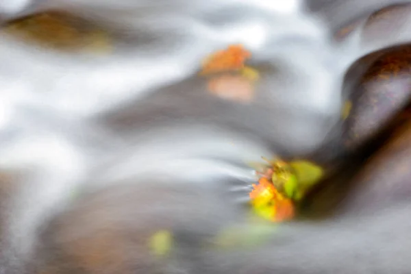水声交响曲 水与浮叶的抽象舞蹈 — 图库照片