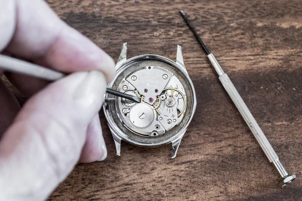 Précision Intemporelle Art Horloger Action — Photo