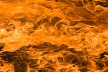 Alevli Toprak: İklim Değişikliği ve Şiddetli Yangın Tehlikelerinin Etkileşimi